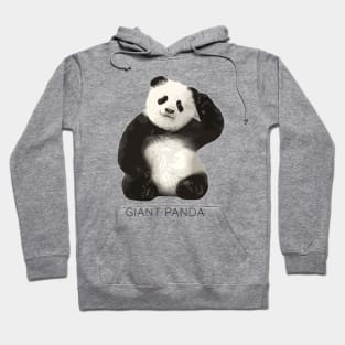 Giant panda (Ailuropoda melanoleuca) Hoodie